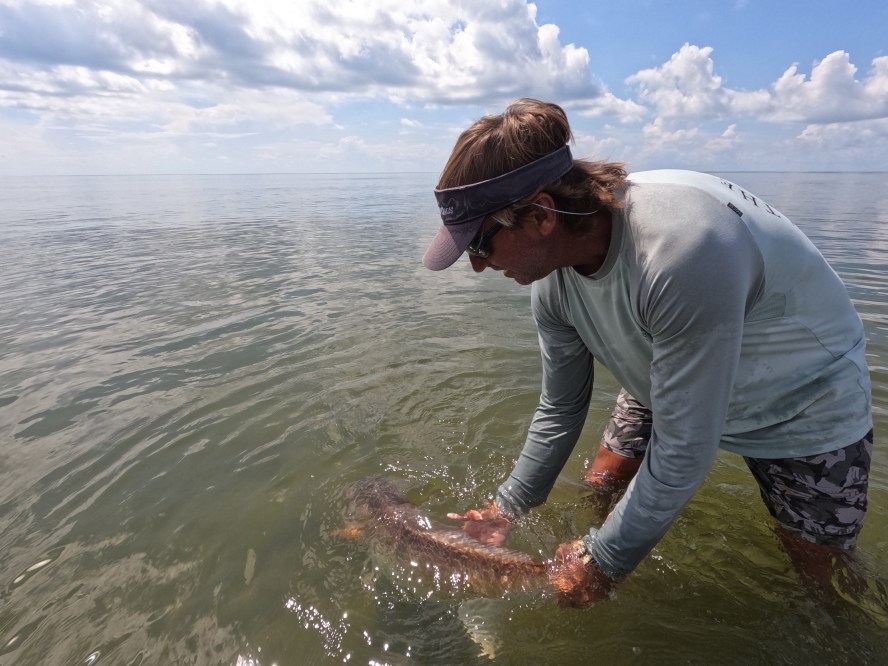 #087 Richard Schmidt: The Pelican Chandeleur