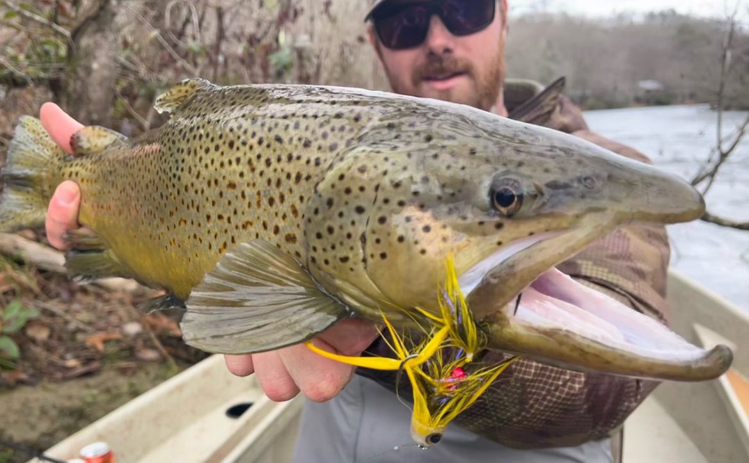 #094 Cohutta Fishing Company: Blue Ridge Georgia