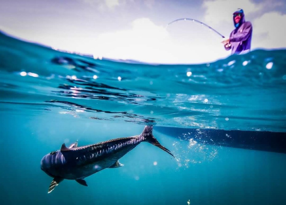 #100 Ed Nicholas: No Boundaries Oman