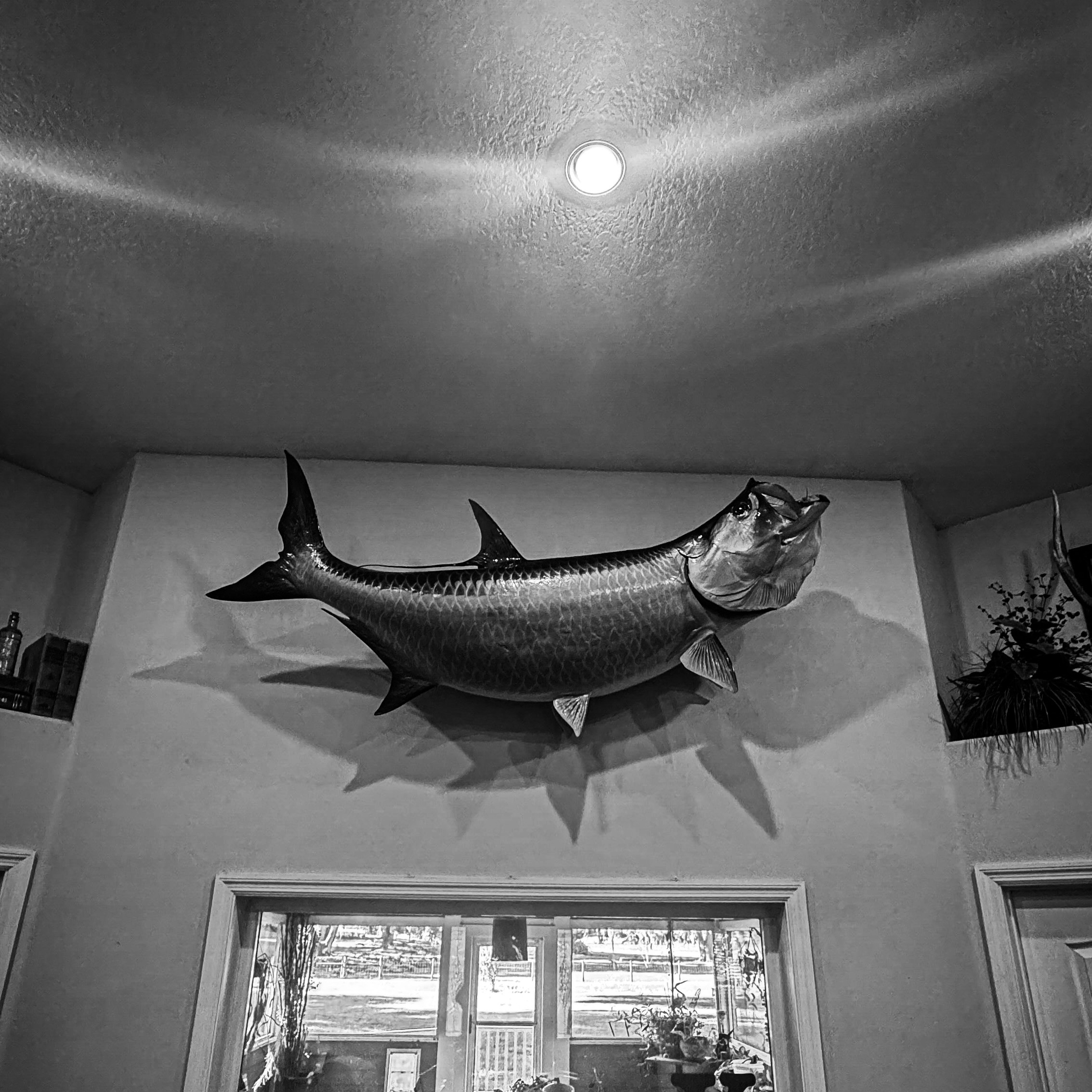 #120 Steve Kilpatrick: Behind the Curtain of Breaking World Records